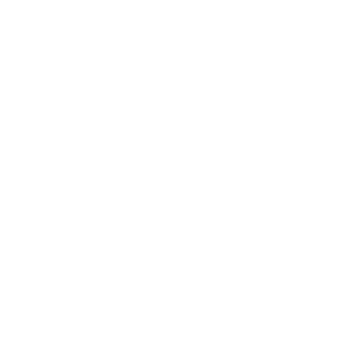 Chrischi's-Service – Hausrenovierung – Symbol