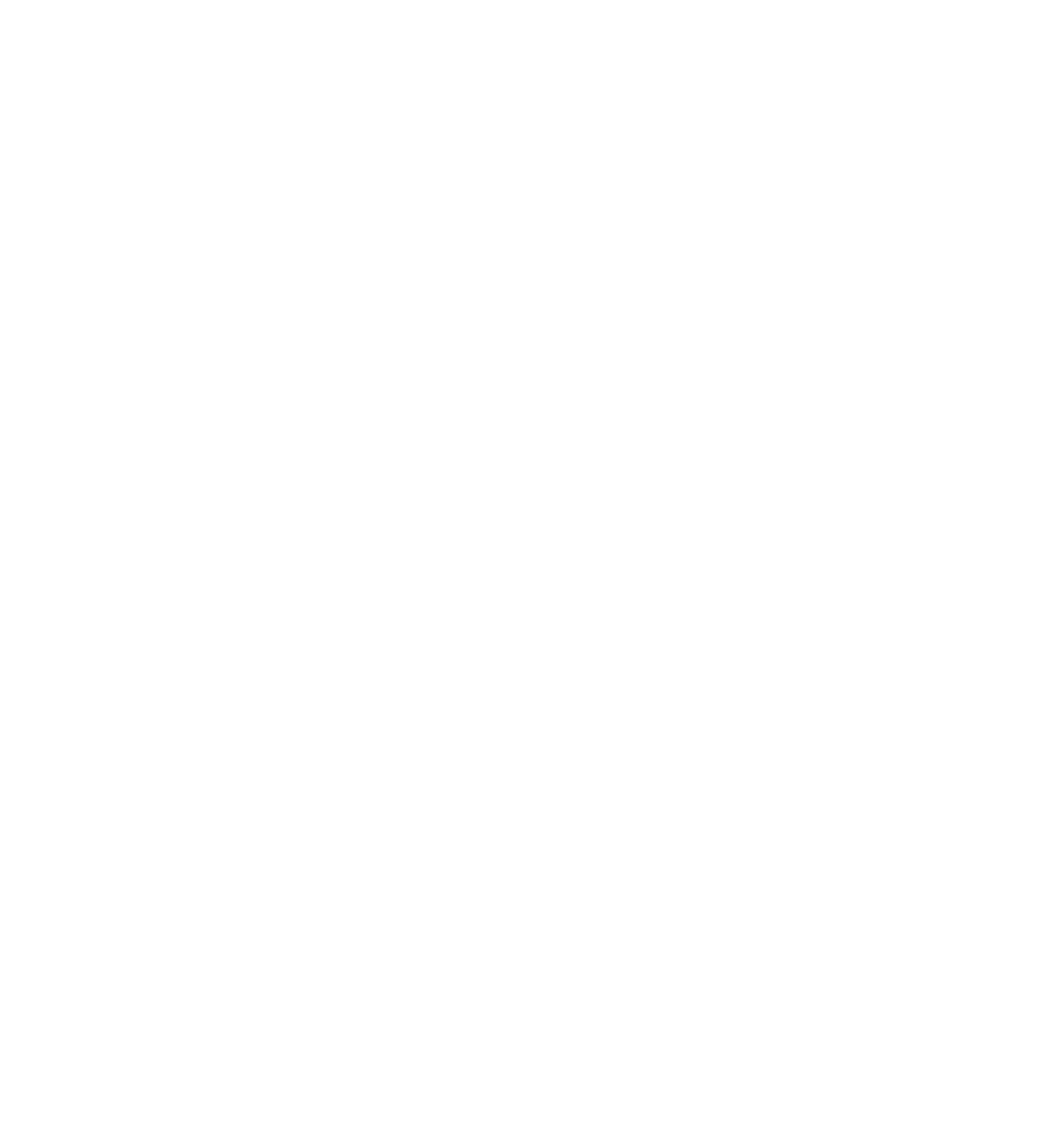 Chrischi's-Service – Hausrenovierung – Symbol